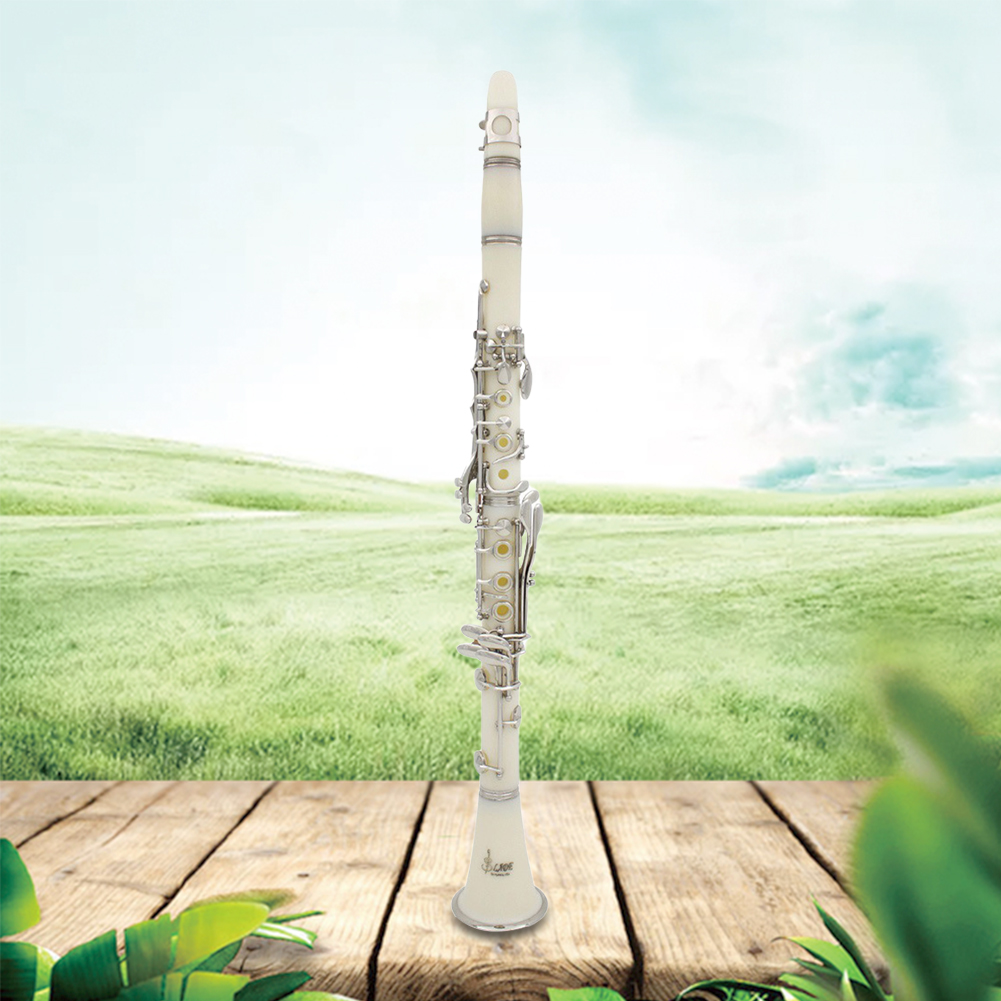 Musical Instrument Reed - Bb Clarinet 17 Keys with Case