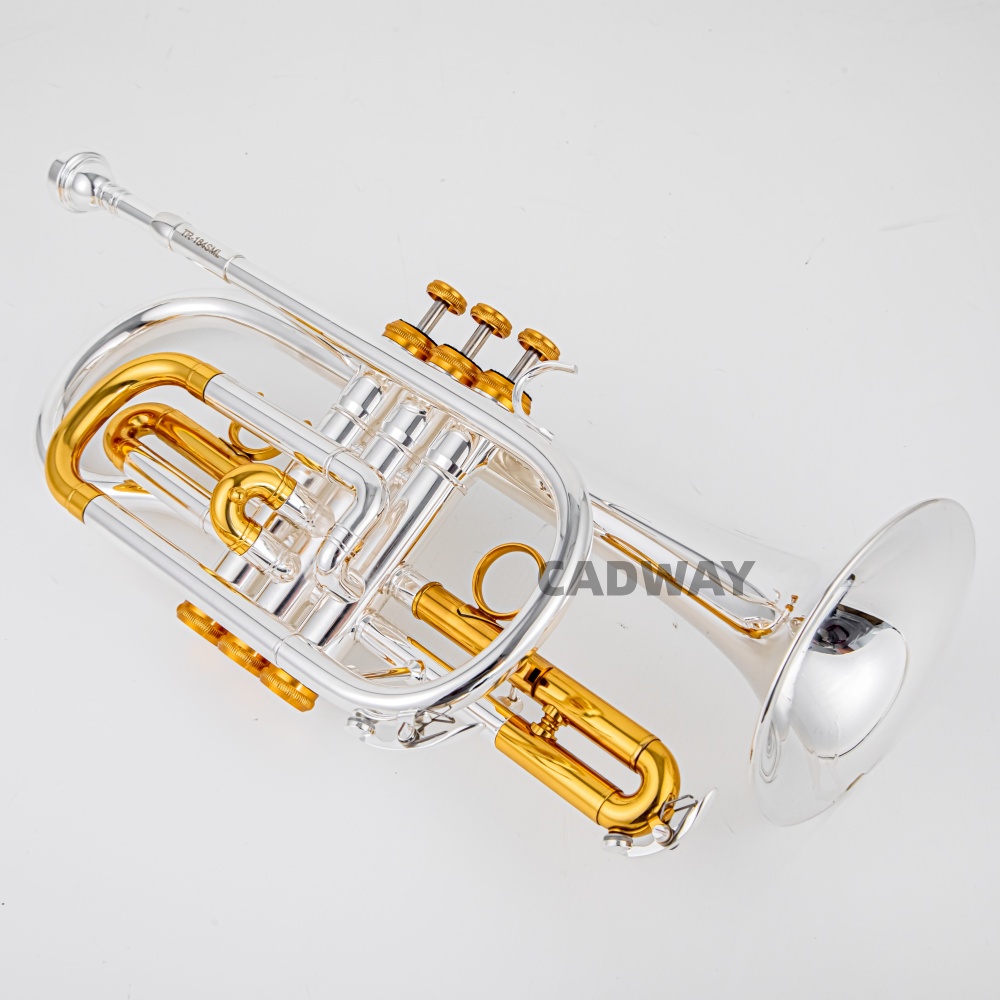 Musical Instrument Cornet - 2026 High Grade BACH Silver Gold