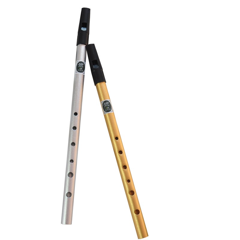 Authentic 6 Holes C/D Tone Iri - огляд і ціна Penny Whistle D