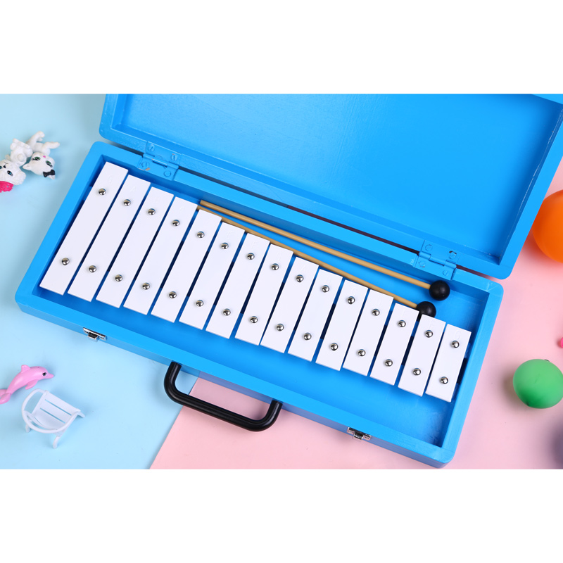 Glockenspiel Xylophone Name Li - огляд і ціна Musical Instrument With Names