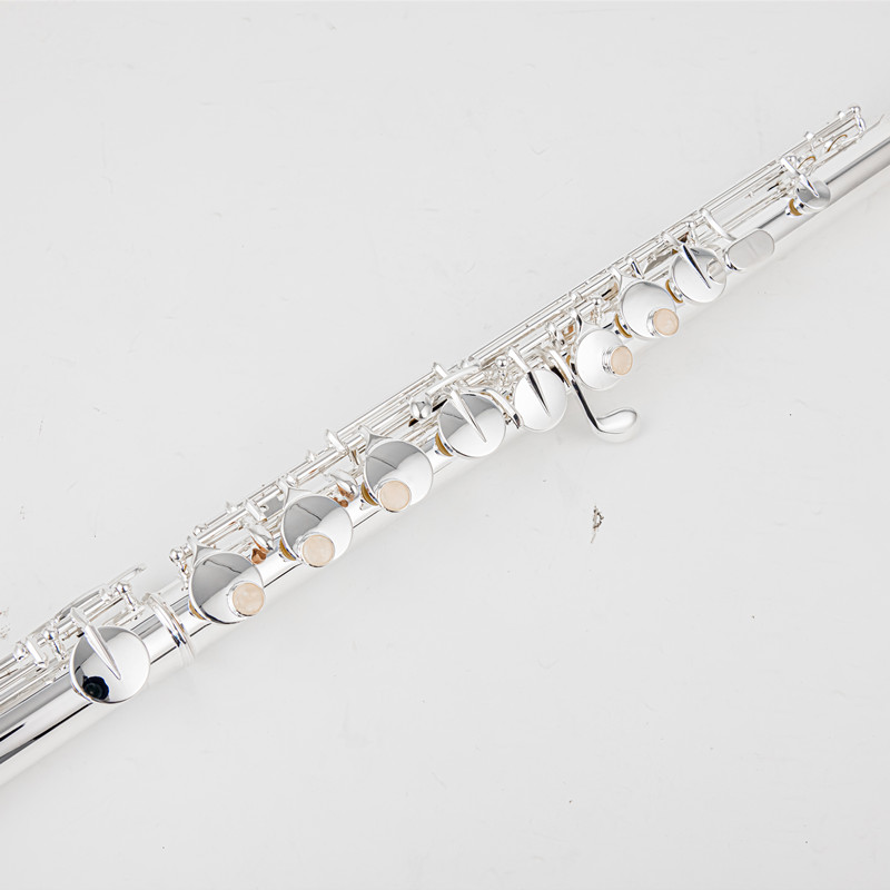 Sankyo AF301 Alto Flute G Tune - огляд і ціна Musical Instrument Qin