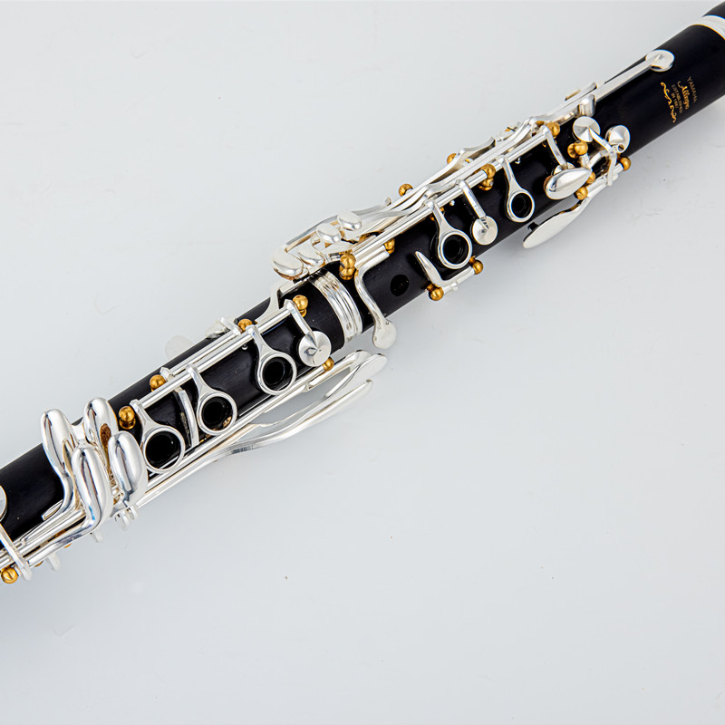 Japan Brand New Professional W - огляд і ціна Musical Instrument Brands