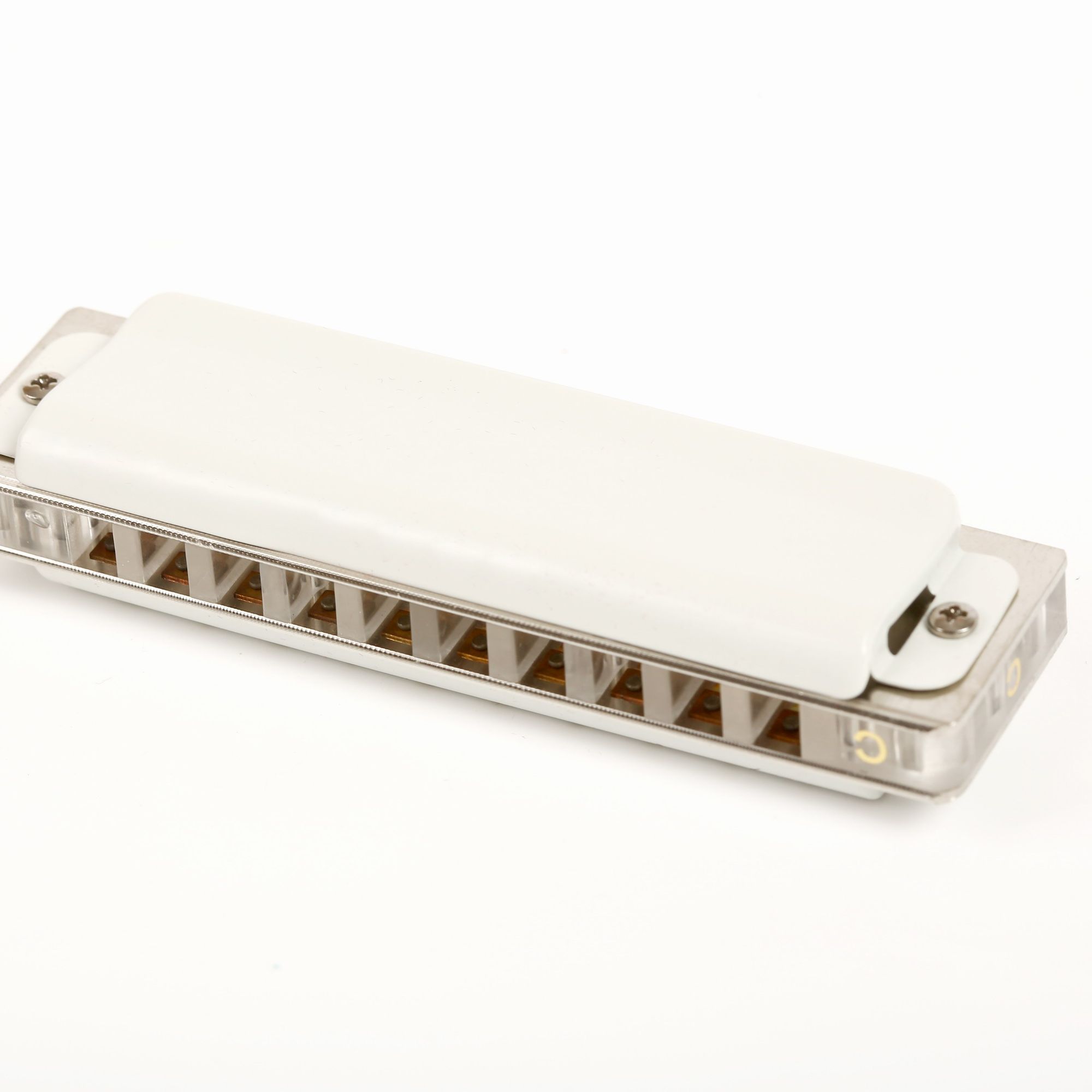 East top 10 hole harmonica pro - огляд і ціна Musical Instrument Reed